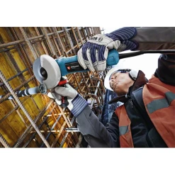 Meuleuse Angulaire Bosch GWS 15-125 CIEPX 1500W 125 Mm